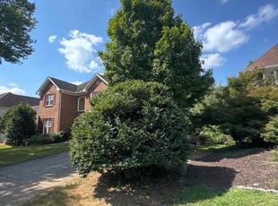 Aric S.'s Bush Trimming service result