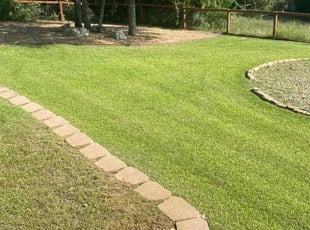 Jeff B.'s lawn service service result