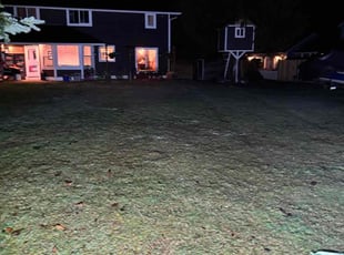 Bridgot E.'s Leaf Removal service result