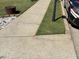 Tori C.'s lawn care services service result