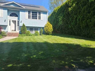Margie M.'s lawn maintenance service result