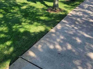 Susan S.'s grass maintenance service result