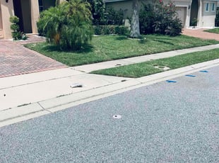 Mike M.'s yard care service result