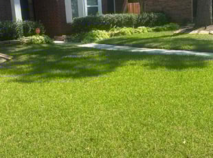 Matt M.'s turf maintenance service result