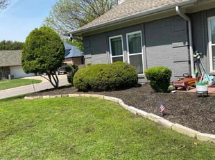 Kim P.'s turf maintenance service result