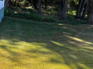 Edmond W.'s turf care service result