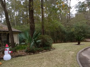 Nancy A.'s Bush Trimming service result