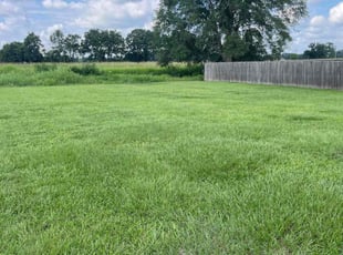 Justin L.'s lawn care services service result