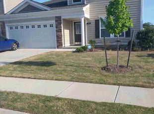 Stephen R.'s lawn service service result