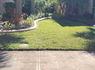 Lucyl Z.'s grass maintenance service result