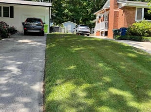 Jared D.'s grass cutting service result