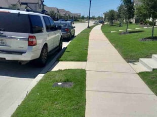 George M.'s lawn care service result