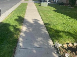 Jack F.'s lawn maintenance service result