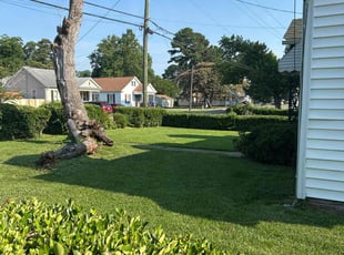 Femi O.'s lawn care service result
