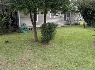 Keith M.'s Bush Trimming service result
