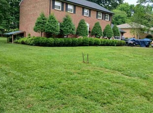 Anita P.'s turf maintenance service result