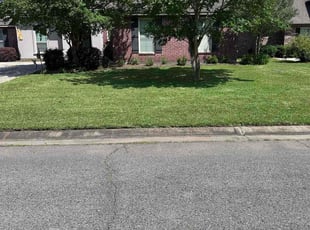 Kylisa Y.'s lawn service service result