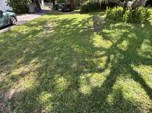 Peter C.'s lawn maintenance service result