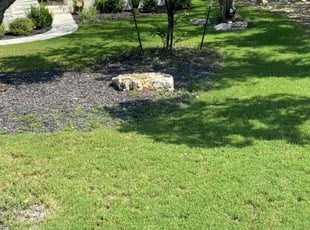 Jason H.'s grass maintenance service result