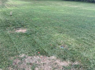Diana K.'s lawn maintenance service result