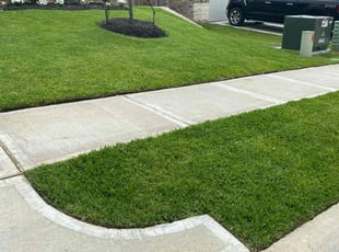 Karen C.'s grass maintenance service result