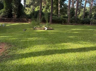 Myra S.'s lawn maintenance service result