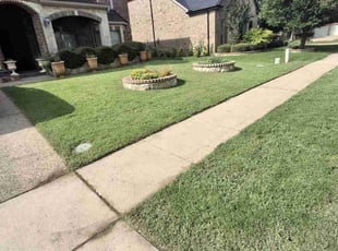 Liz D.'s Long Grass Cleanup service result