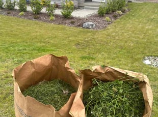 Barbara Z.'s turf care service result