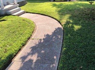 Carolyn B.'s landscaping service result