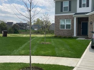 Laura M.'s turf care service result