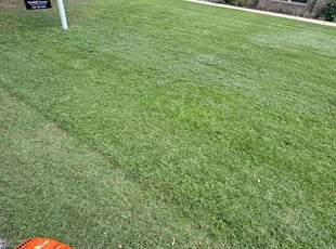 Marianne G.'s lawn care service result