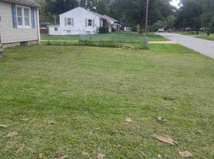 Ossie C.'s lawn care service result