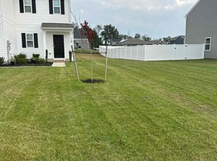 Mary Ann M.'s lawn service service result