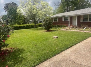 Raymundo S.'s turf maintenance service result