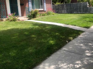 Sam M.'s lawn service service result