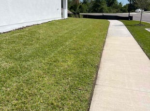 Cheryl M.'s lawn service service result