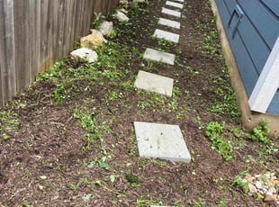 Lauren M.'s lawn maintenance service result