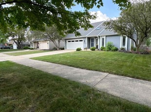 Meeta G.'s lawn service service result