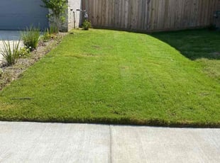Eric M.'s lawn service service result