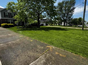 Ryan M.'s turf care service result