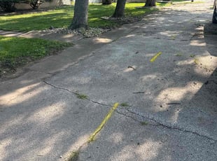 Shalana M.'s turf maintenance service result