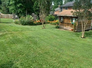 Slate S.'s grass maintenance service result