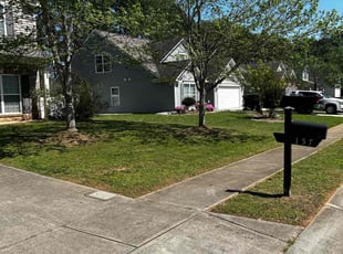 C. C.'s lawn maintenance service result