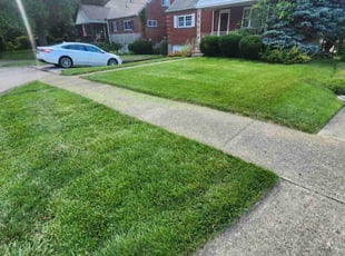 Larry S.'s lawn care services service result