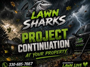 Michael K.'s Cleanup service result