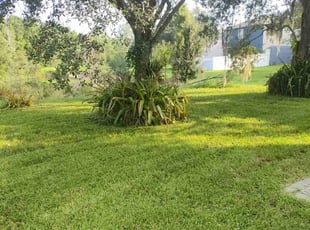 Sheri H.'s grass cutting service result