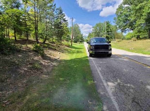 Bridgett T.'s grass maintenance service result