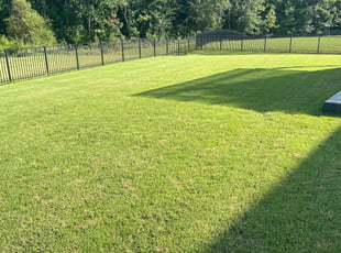 Sarah P.'s lawn care service result