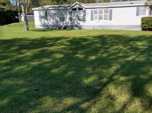 Sophia C.'s lawn service service result