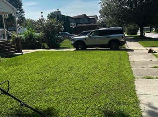 Vijay G.'s lawn service service result